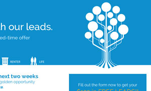 landing page design and development